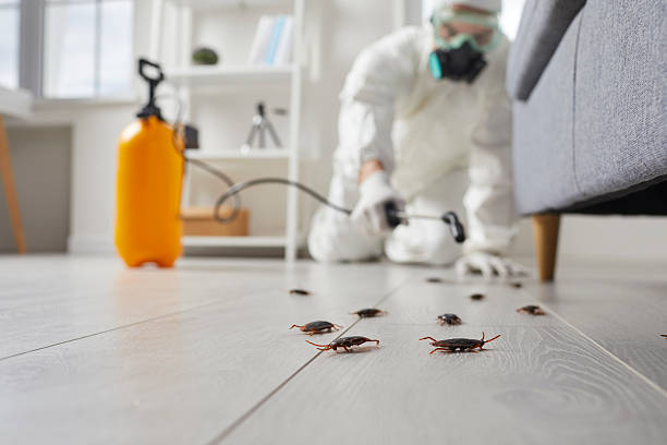 Commercial Kitchen Cockroach Control in Oglala